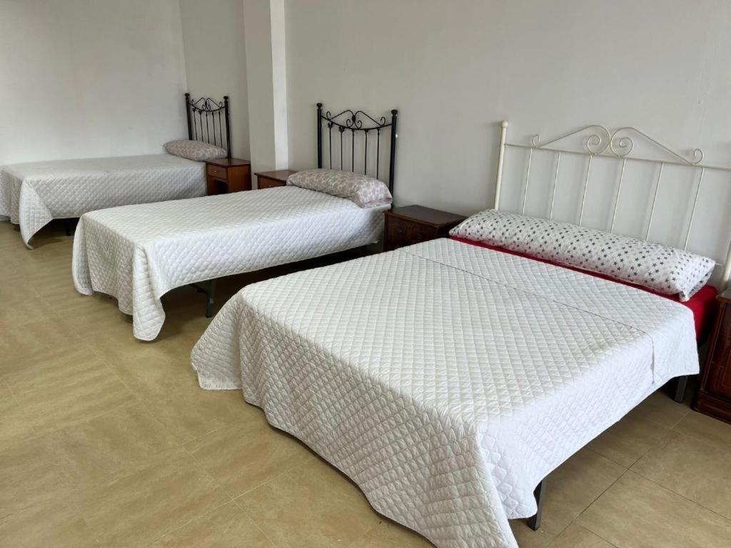 Appartement Nuria Cádiz